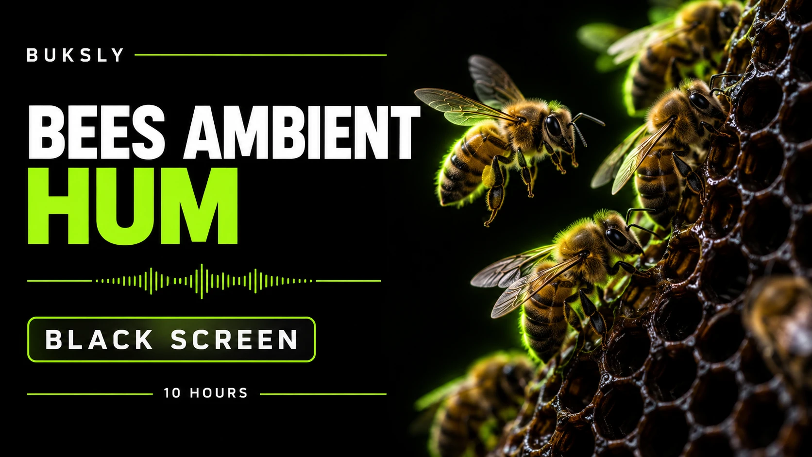 Bees Ambient Hum ambient cover for anxiety relief