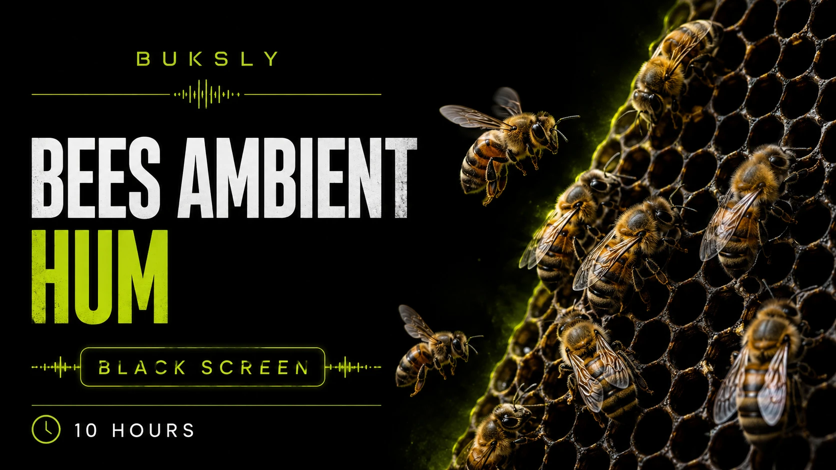 Bees Ambient Hum ambient cover for meditation