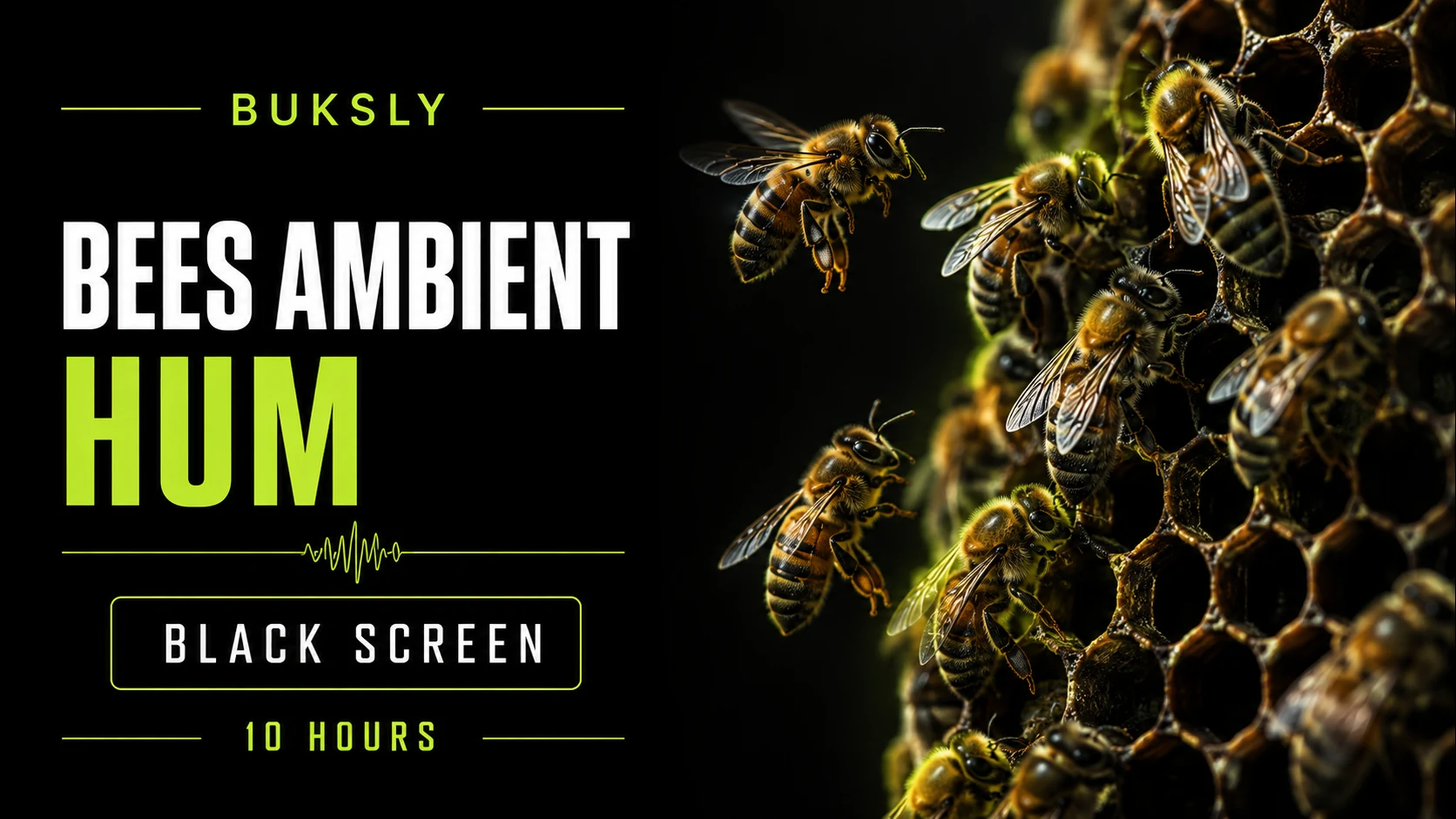 Bees Ambient Hum ambient cover for relaxation