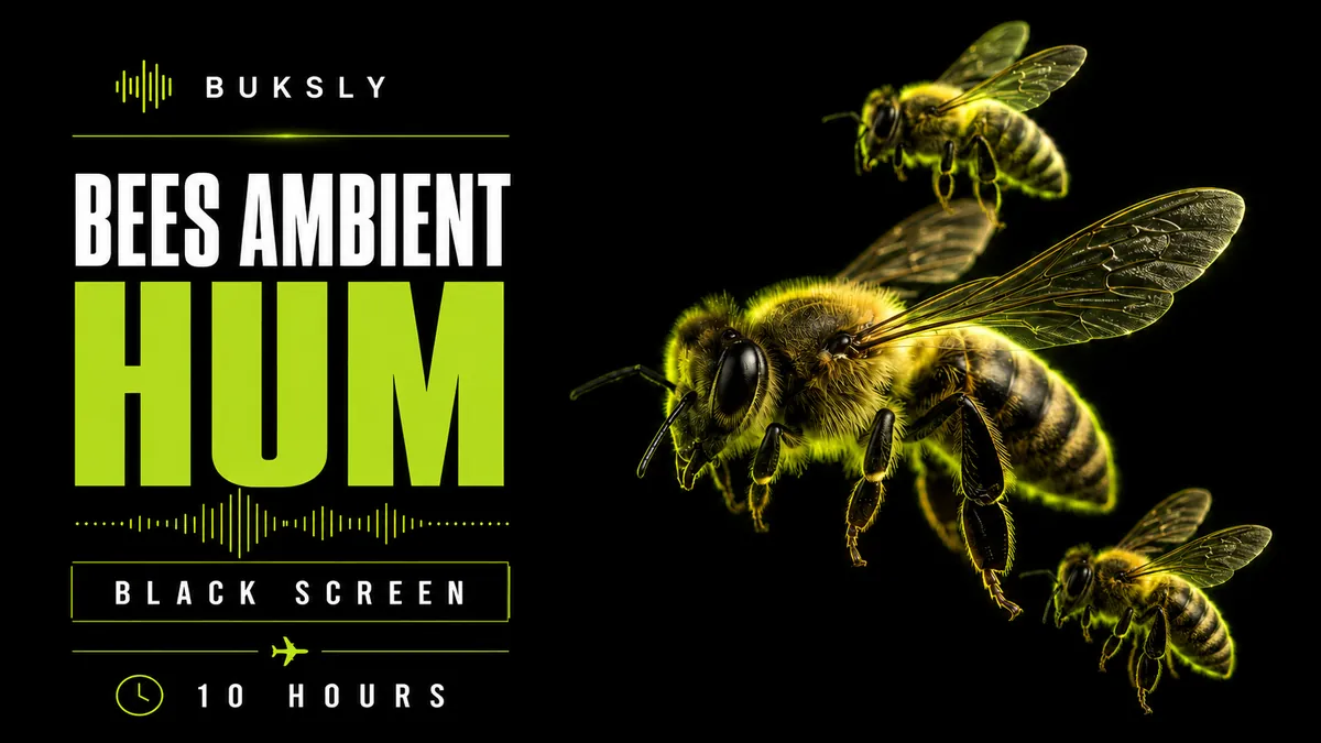 Bees Ambient Hum latest active episode cover image