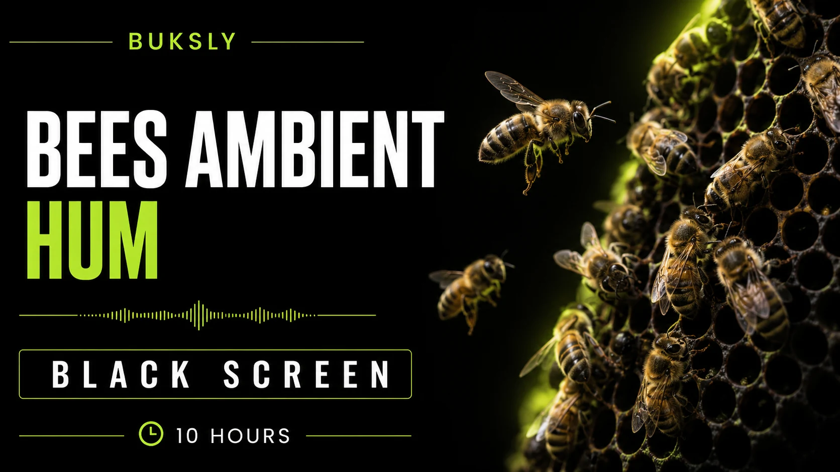 Bees Ambient Hum Black Screen 10 Hours — Episode 3 cover image